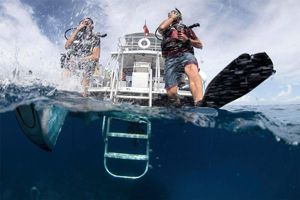 open-water-diver-curso